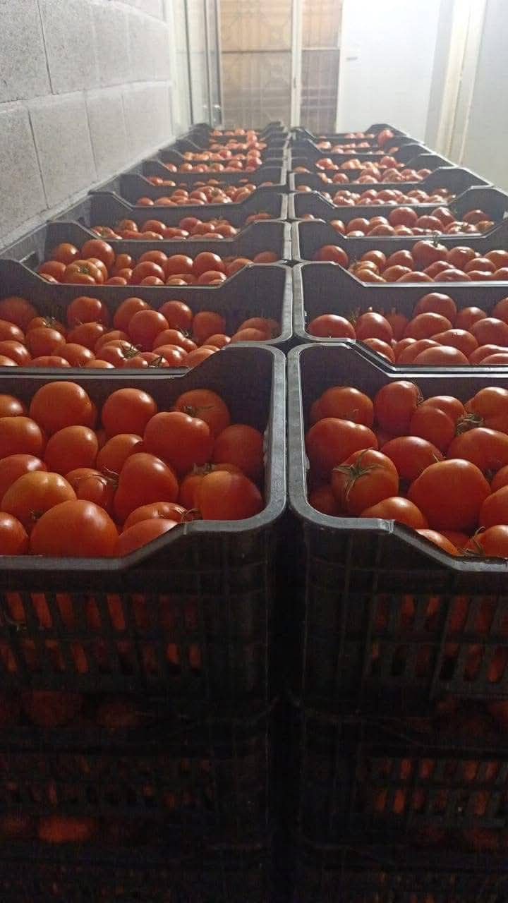 ضبط كمية من بندورة و الالبسة المهربة