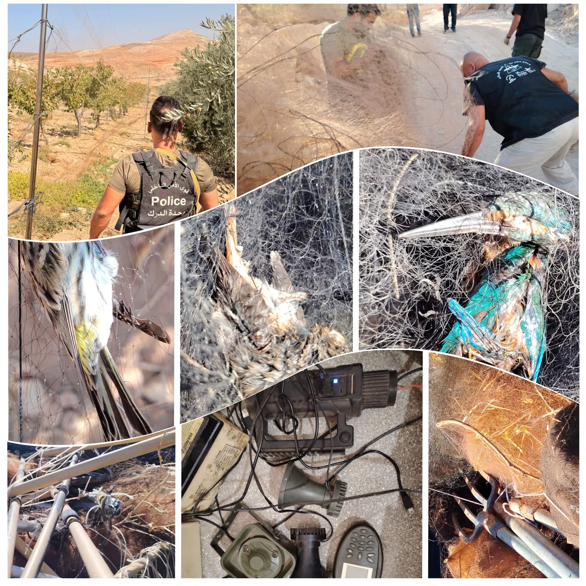 مكافحة الصيد الجائر عنوان الحملة التي نفّذتها مفرزة استقصاء البقاع مع فريق العمليات المشترك MESHC – SPNL – CABS