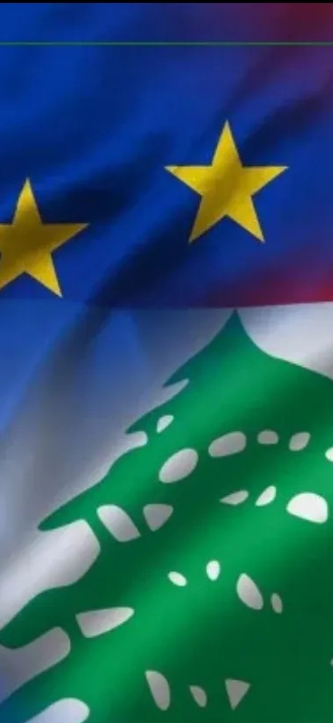 أدان الاتحاد الأوروبي السبت الغا.رات الإس.رائيلية