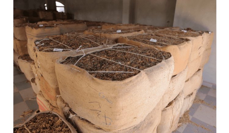 الريجي" أعلنت انتهاء تسلّم المحاصيل في الجنوب والشمال