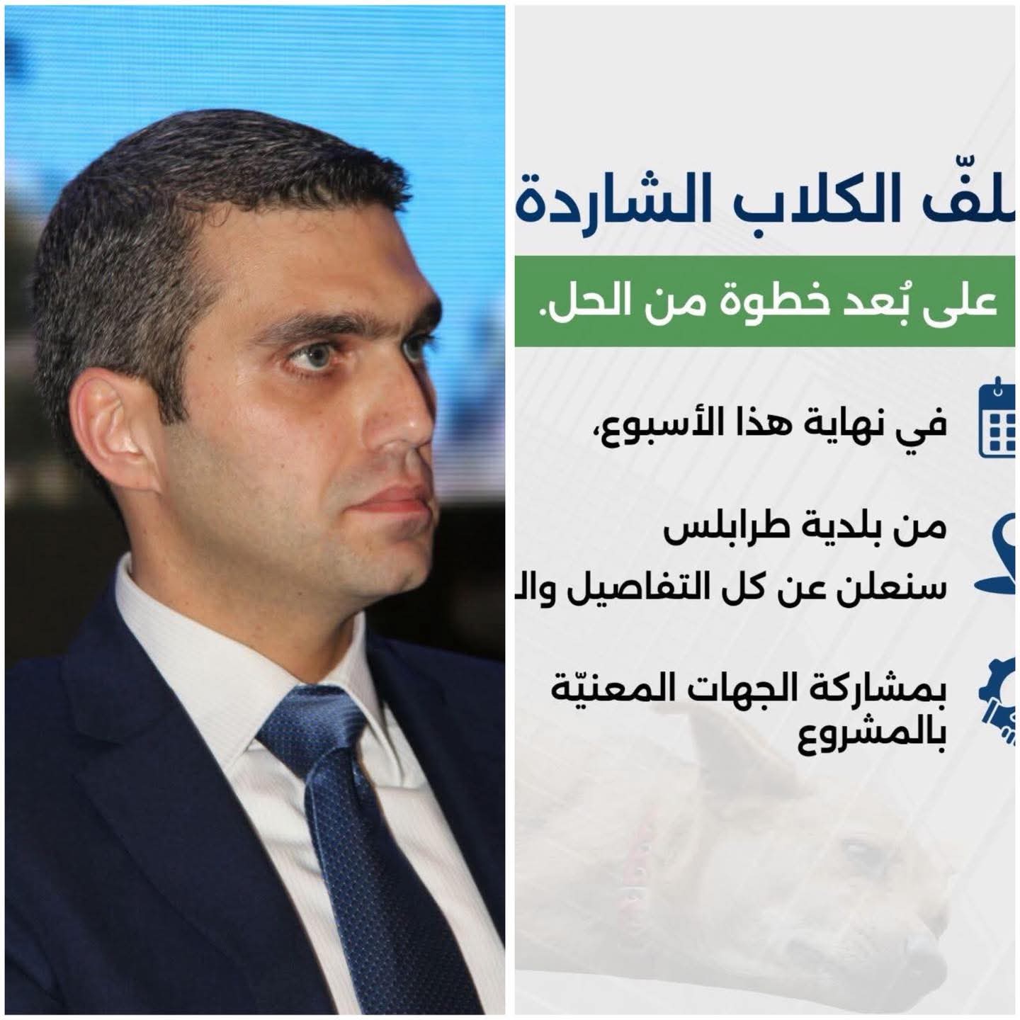 رئيس بلدية طرابلس يعلن عن مشروع لمعالجة مشكلة الكلاب الشاردة