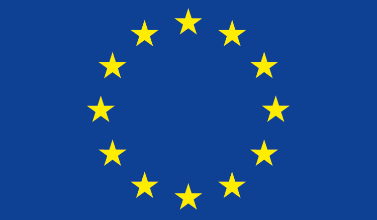 الاتحاد الأوروبي يعتبر اعتماد مجلس الأمن خطة ترامب لغزة "خطوة مهمة"