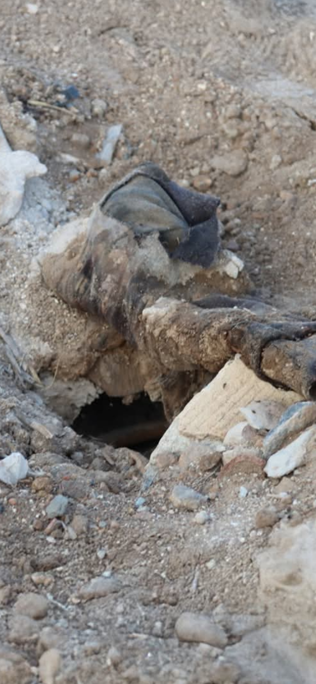 العثور على 4 مقابر جماعية