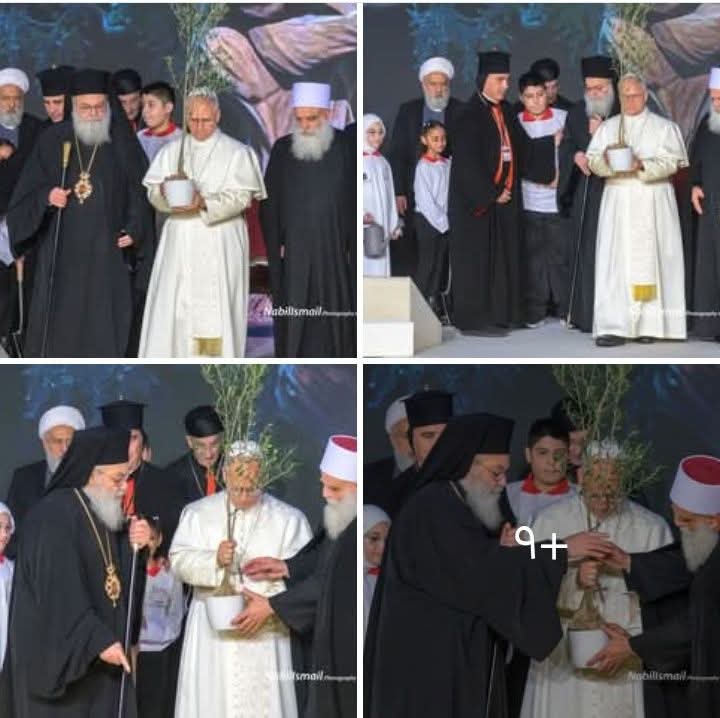 شجرة الزيتون