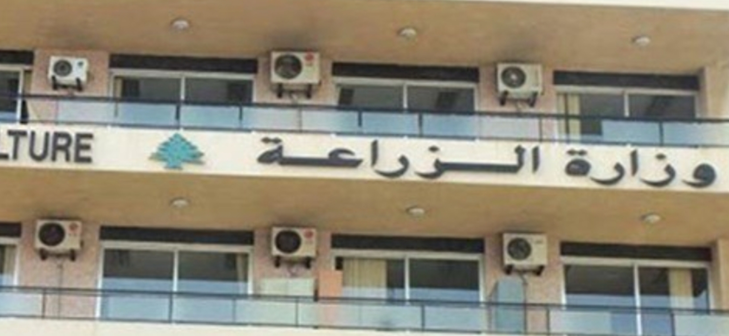 وزارة الزراعة تؤكد سلامة الإجراءات الصحية المتعلقة بباخرة الأبقار المصرية