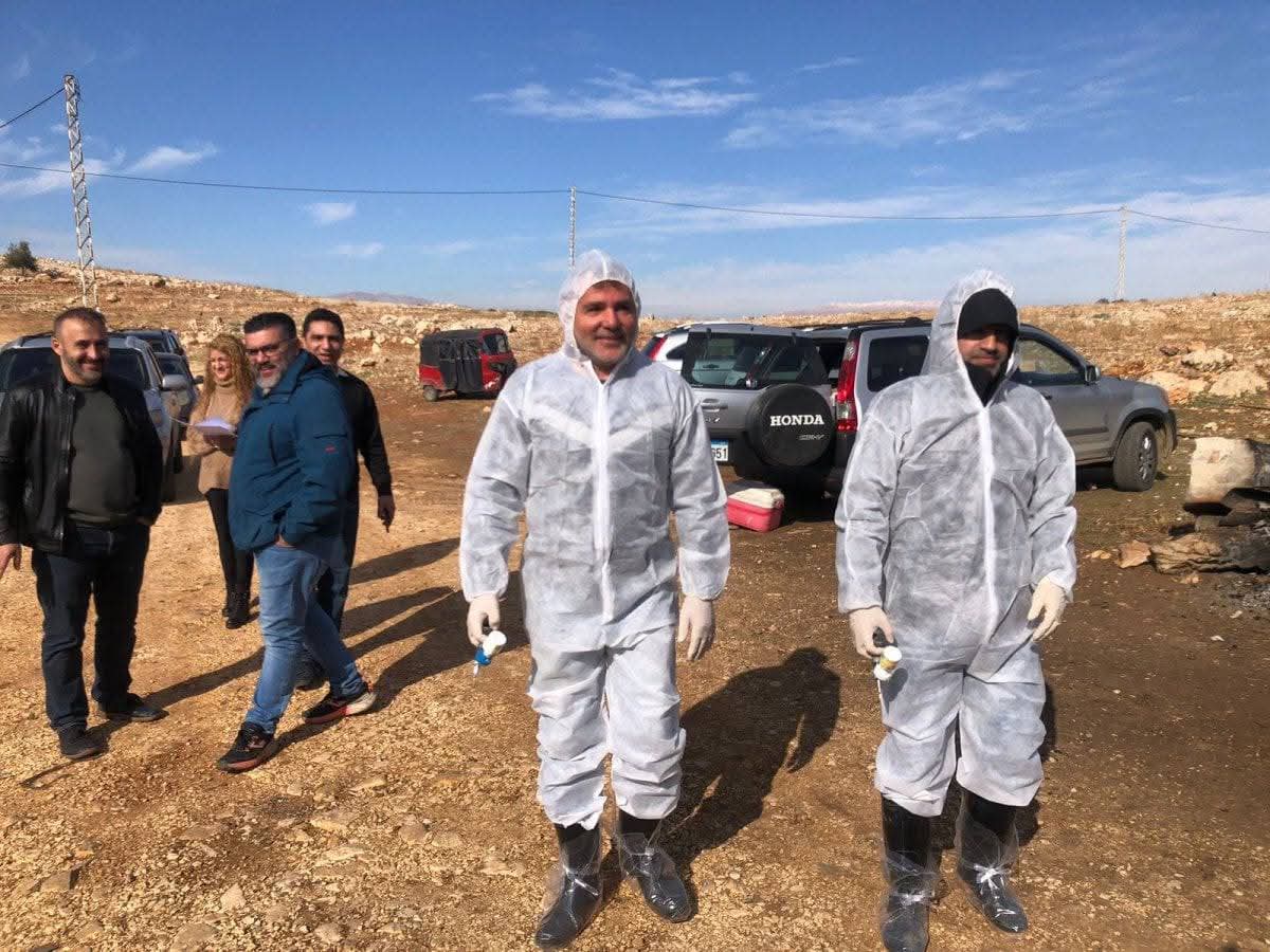 حملة تحصين الأبقار غير المصابة