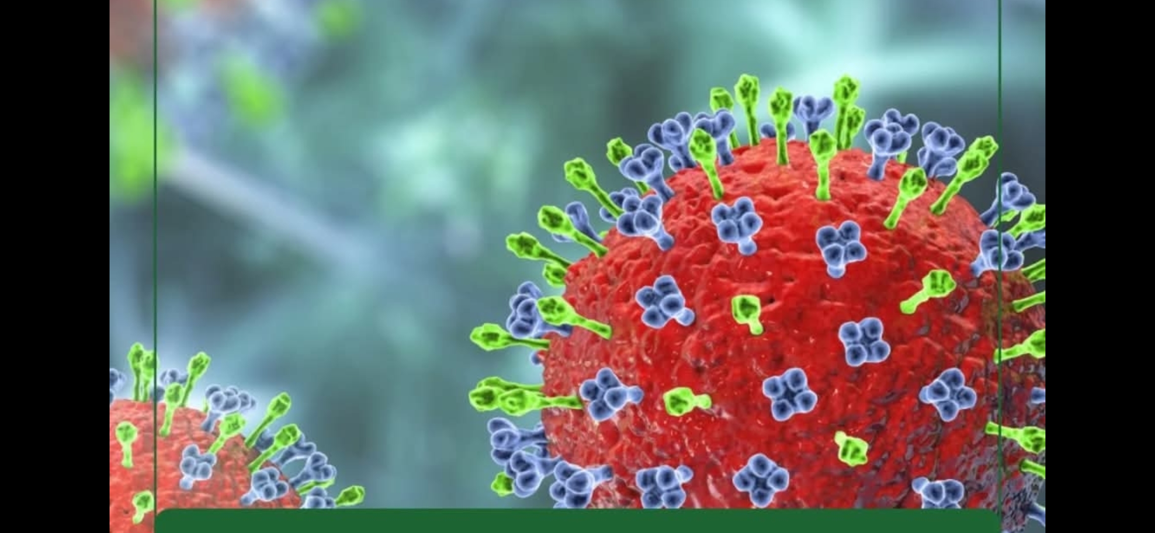 سلالة الإنفلونزا K موسمية ولا تهدد بظهور جائحة