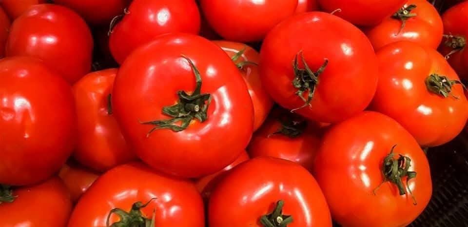 فائدة غير متوقعة للبندورة