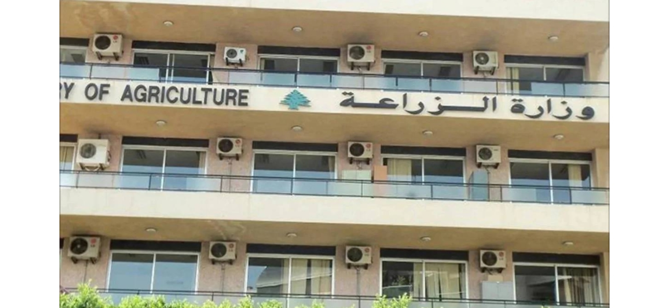 الزراعة” تعلن نتائج اليوم الثامن من حملة تحصين الأبقار