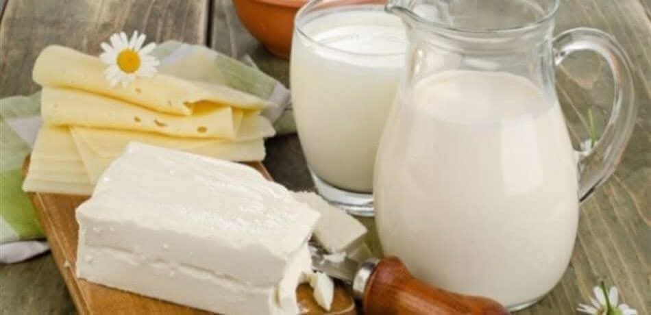 هل الألبان والأجبان مضرة في الرجيم؟