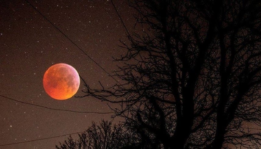 سماء الإمارات تستقبل 2026 بقمر "الذئب العملاق".. لماذا يبدو أكبر حجماً؟