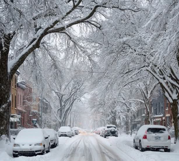 أمطار كانون الثاني مستمرة وموجة صقيع على الأبواب