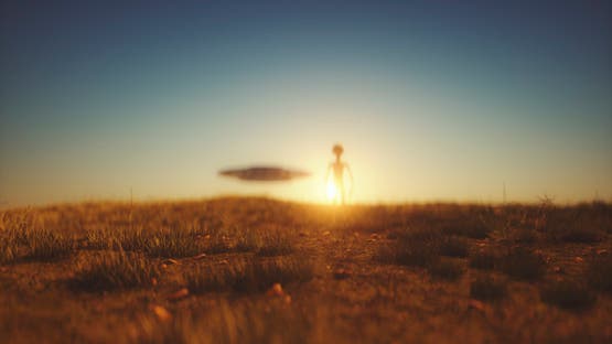 العلماء حائرون.. هل وصلت كائنات فضائية للأرض