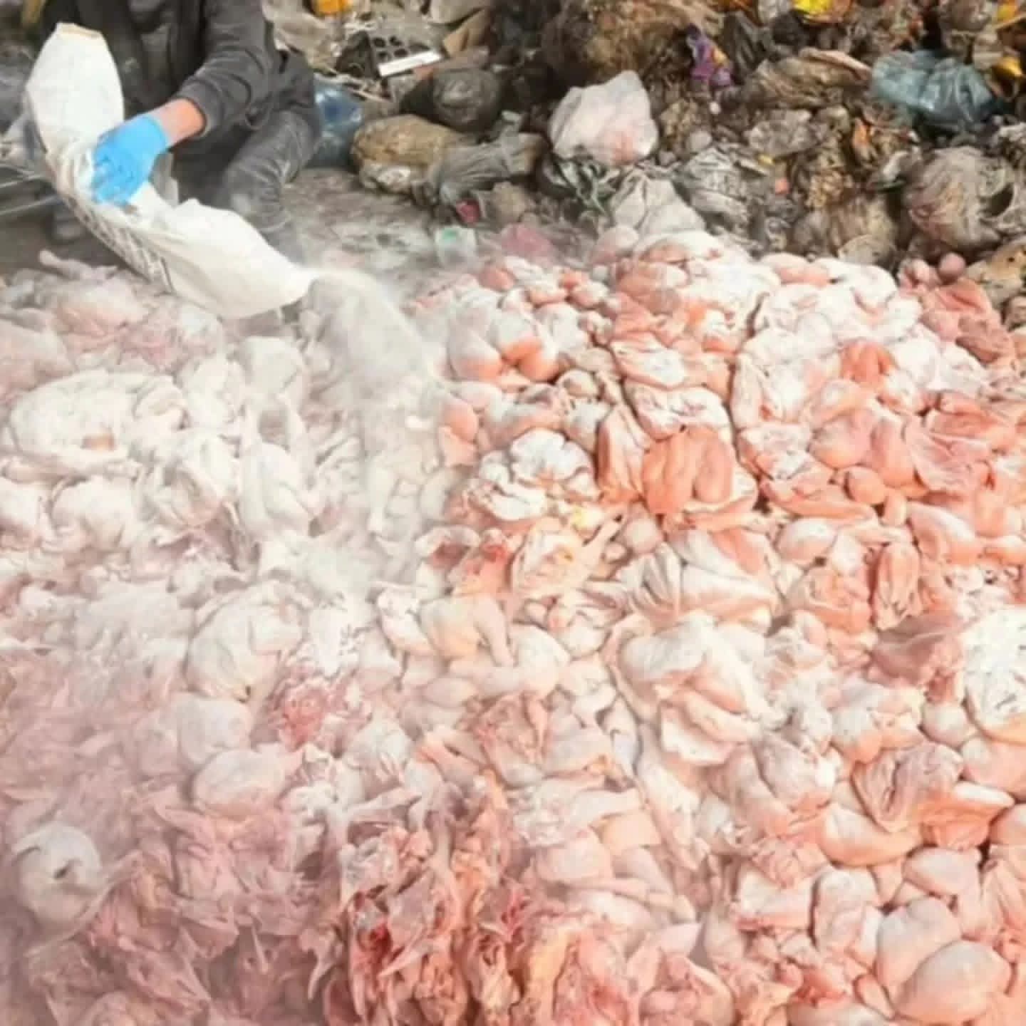 داهمت قوى الأمن الداخلي