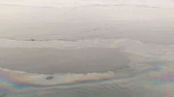 ظهور بقعة سولار في نهر النيل.