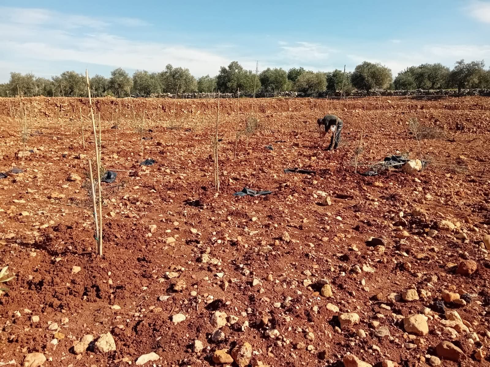 الأرض أمانة والزرع رسالة