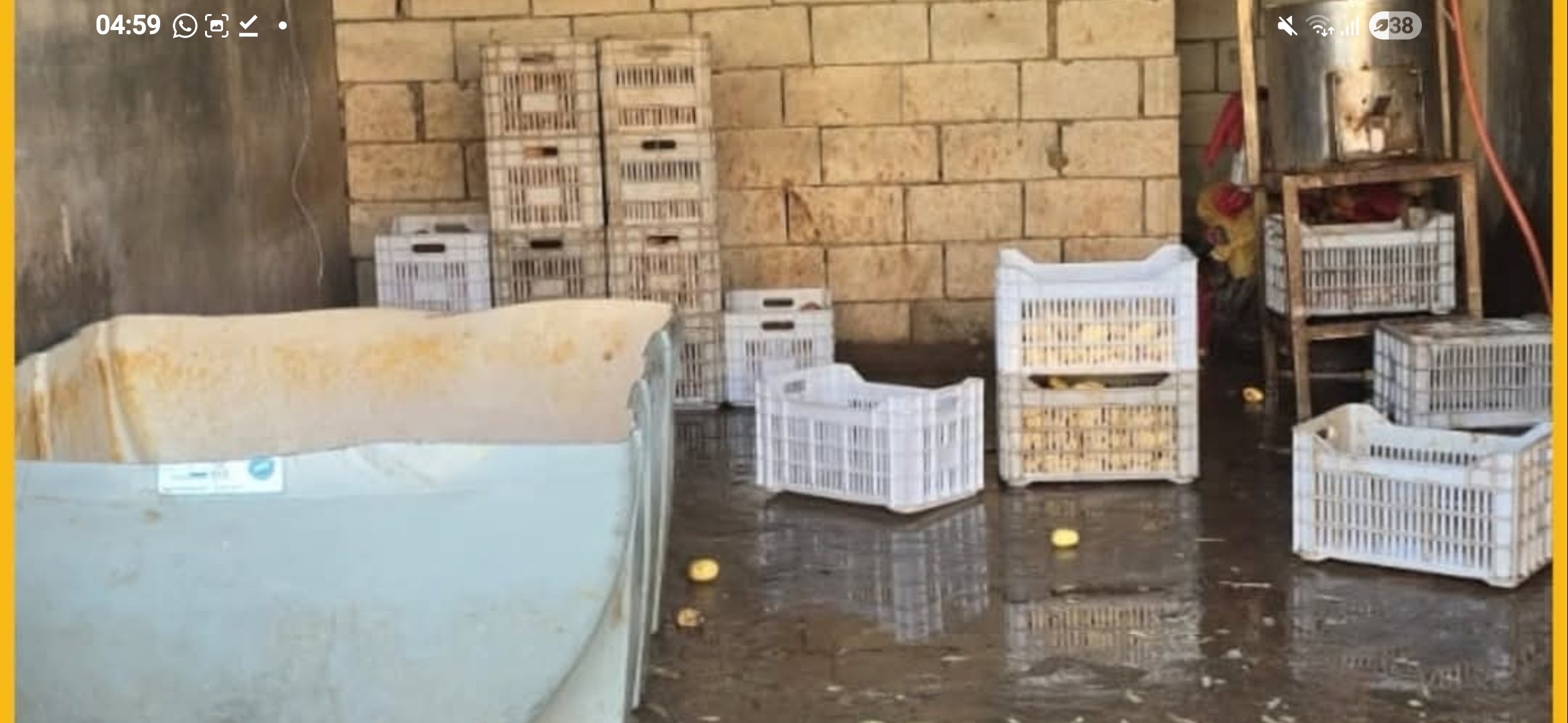 تشديد الرقابة على سلامة الغذاء