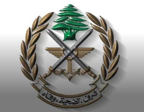 عملية دهم وضبط كمية من الذخائر الحربية والرمانات اليدوية