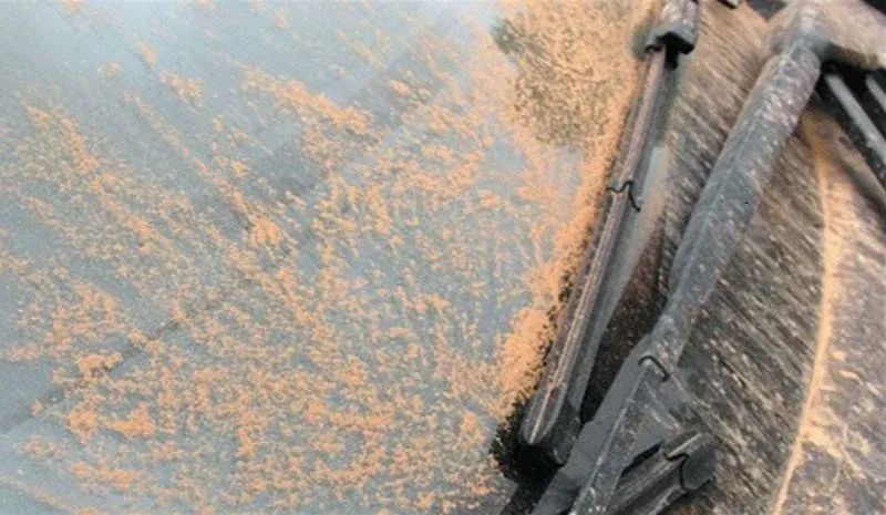 دفء غير اعتيادي حتى الإثنين… والأمطار تعود الأربعاء