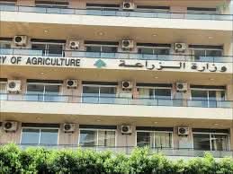 الأسعار المرتفعة