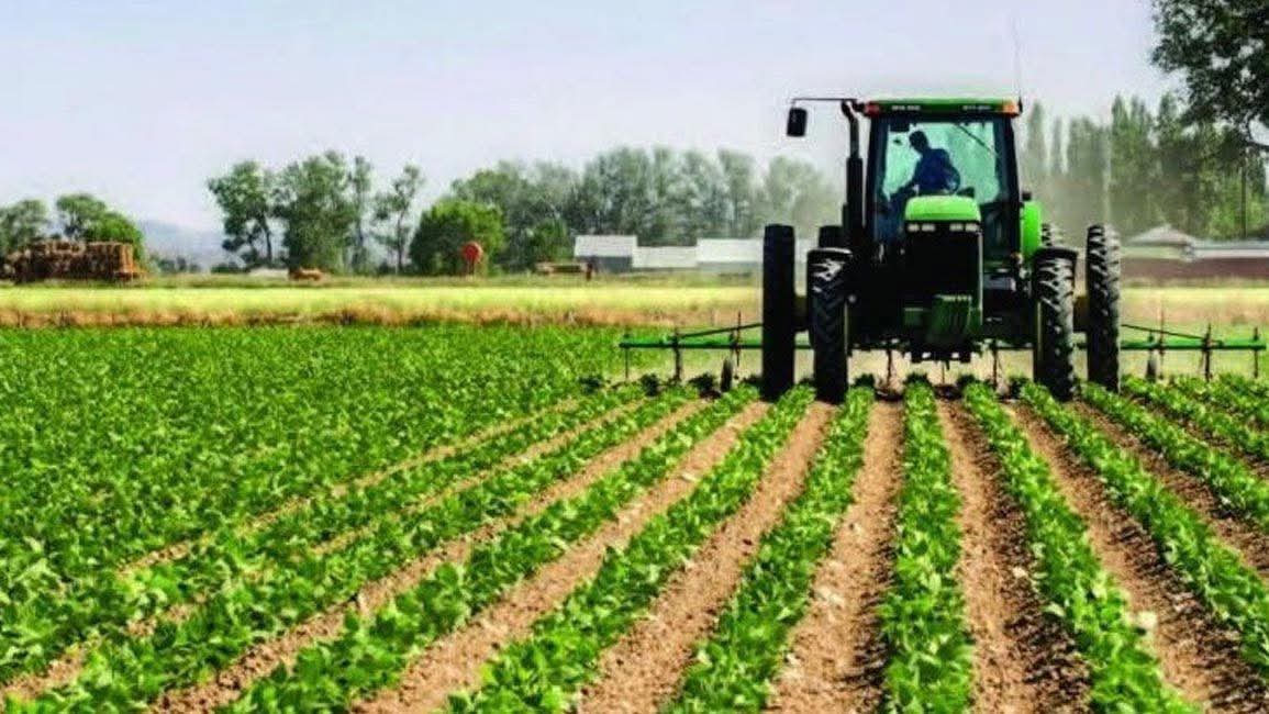 اتحاد نقابات المزارعين يدعو المزارعين للتمسك بأرضهم ومواصلة العمل الزراعي