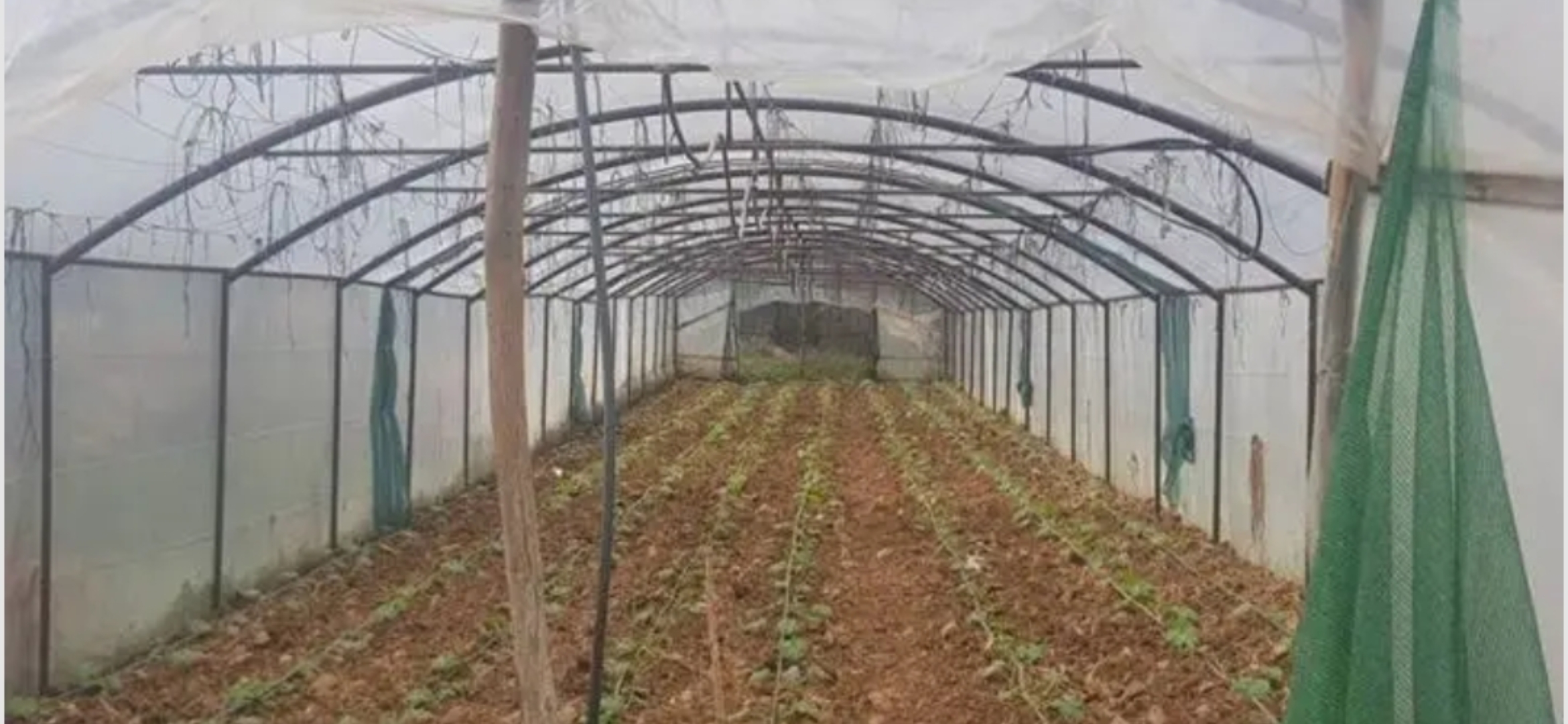 القطاع الزراعي يواجه صعوبات غير مسبوقة