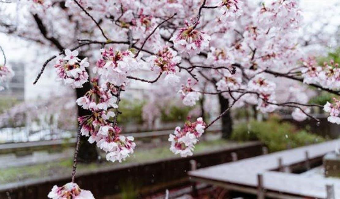 أمطار وثلوج… إليكم حال الطقس في الأيام المقبلة