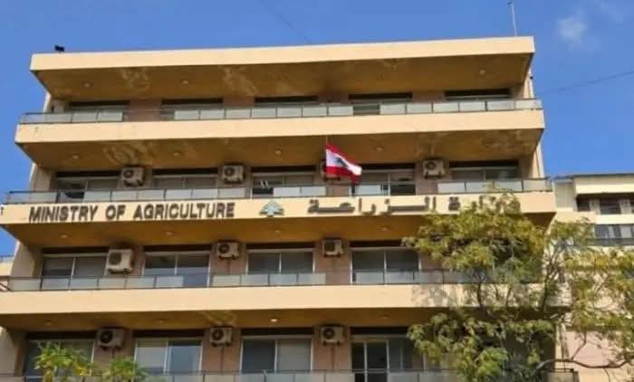 الزراعة تتدخل لضبط أسعار البطاطا “سيتم توفيرها بسعر لا يتجاوز الـ 400,000 ليرة لبنانية لكل 10 كلغ”