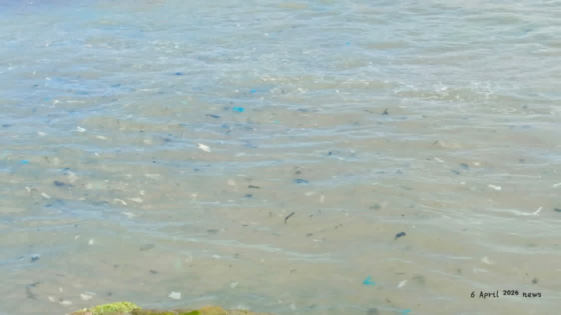 دعوات عاجلة لحماية شواطئ #المنية من النفايات البلاستيكية