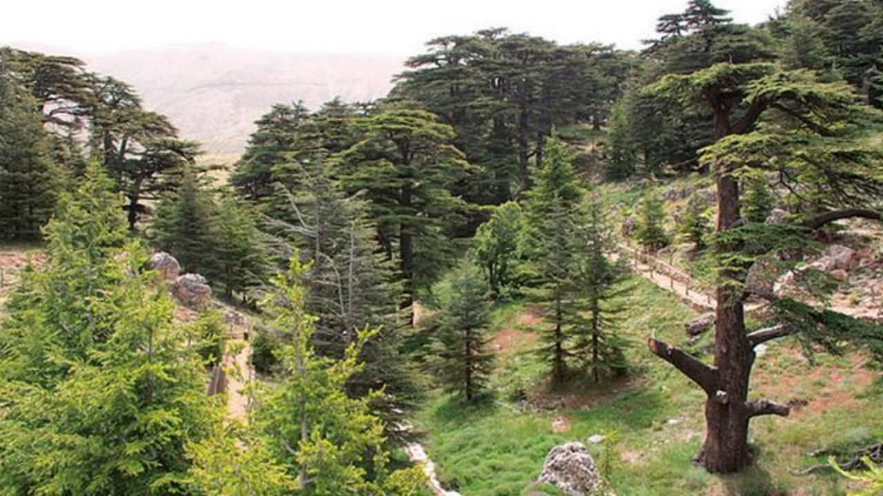 ملايين الأمتار تحت الضوء… تنورين ترد