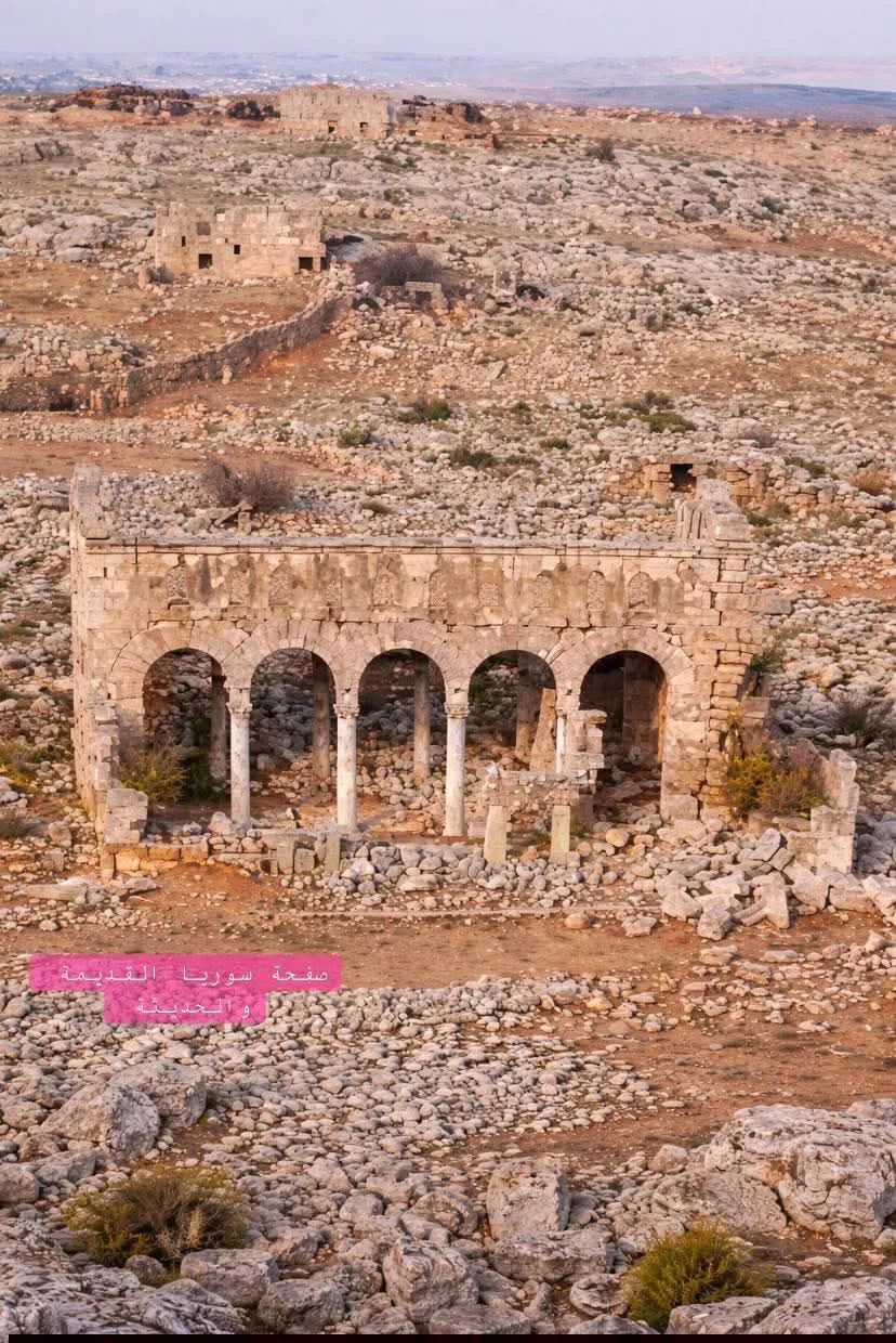 غبار وضباب... أمطار وبرق ورعد: الربيع اختفى؟!