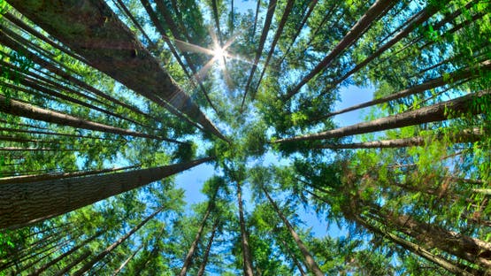 أفريقيا تفاجئ العالم بظاهرة لم يتوقعها أحد