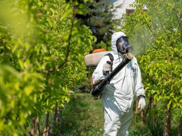 بسبب أضرارها… الزراعة تدعو البلديات لوقف رش المبيدات