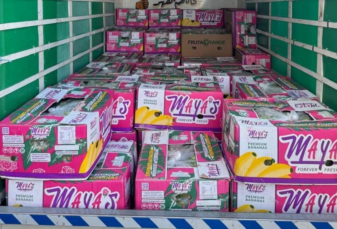 كميات كبيرة من الموز المهرب في طرابلس