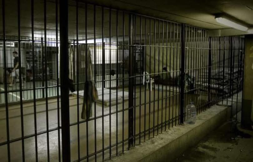 عن العفو العام