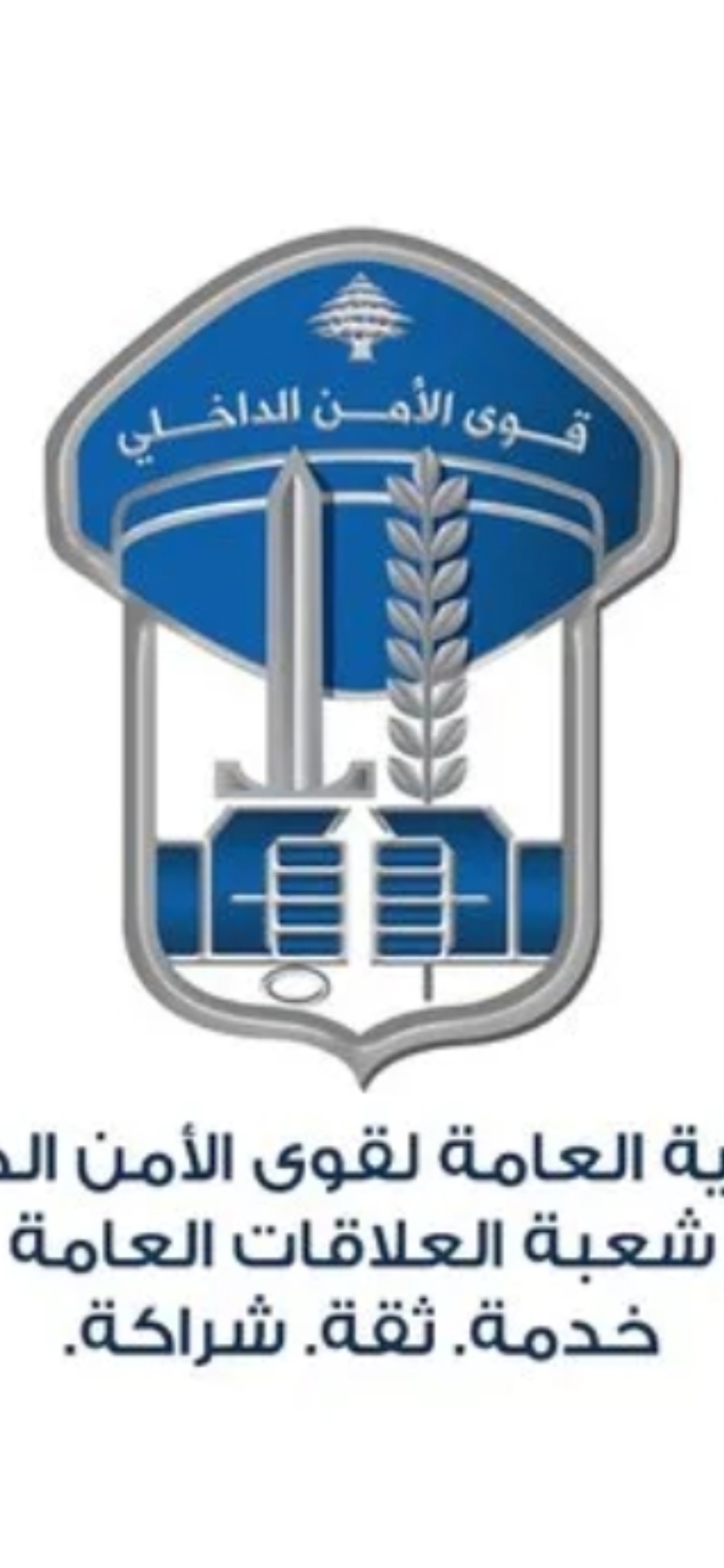 من بيت الدين إلى سوريا… سلسلة جرائم نصب وسرقة واحتيال