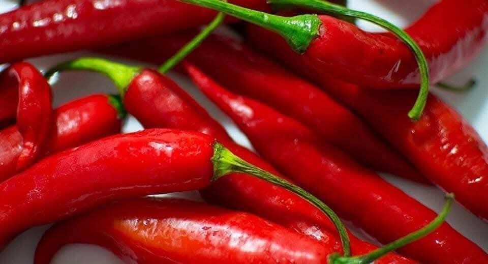 بريطانيا تزرع "نَفس الشيطان"  