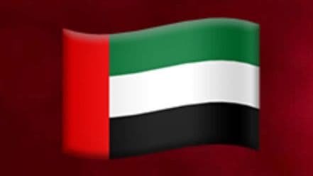 الإمارات حظرت منصات التواصل الاجتماعي للأطفال تحت سن 15 عاما