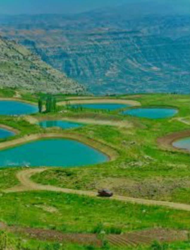 مشروع جديد يعزّز المساحات الزراعية في العاقورة