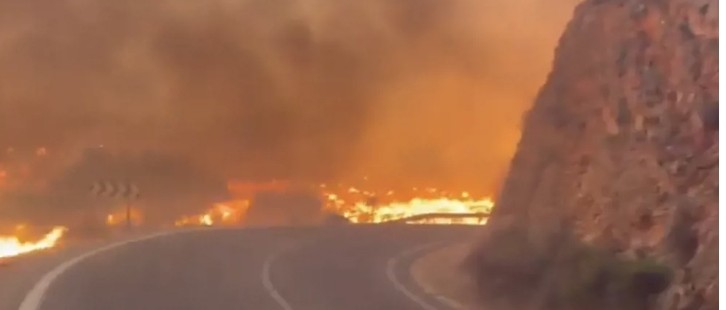 حرائق غابات في جنوب إسبانيا تودي بحياة 12 شخصاً