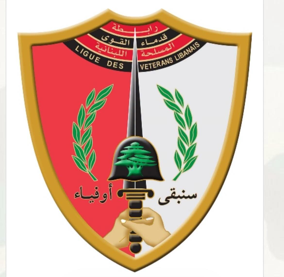 رابطة قدماء القوى المسلحة اللبنانية ترفض تقسيط المفعول الرجعي: مخالفة للقانون والتصعيد وارد