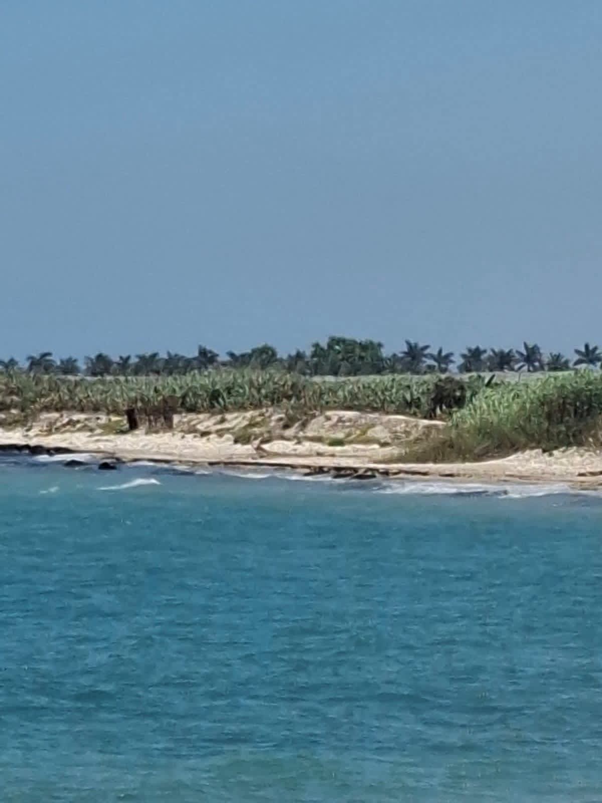 دورية مشتركة في عدلون لمكافحة الصيد بالديناميت وحماية الثروة السمكية