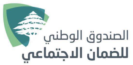 الضمان الاجتماعي يصدر سلفات مالية بقيمة 378 مليار ليرة للمستشفيات والأطباء