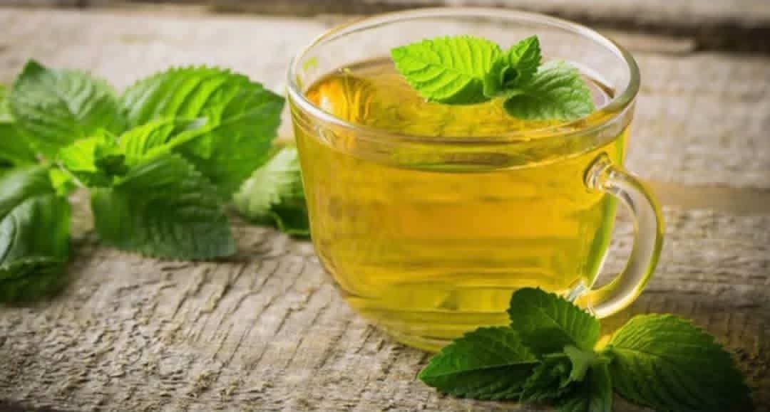 ما هي فوائد شاي النعناع قبل النوم