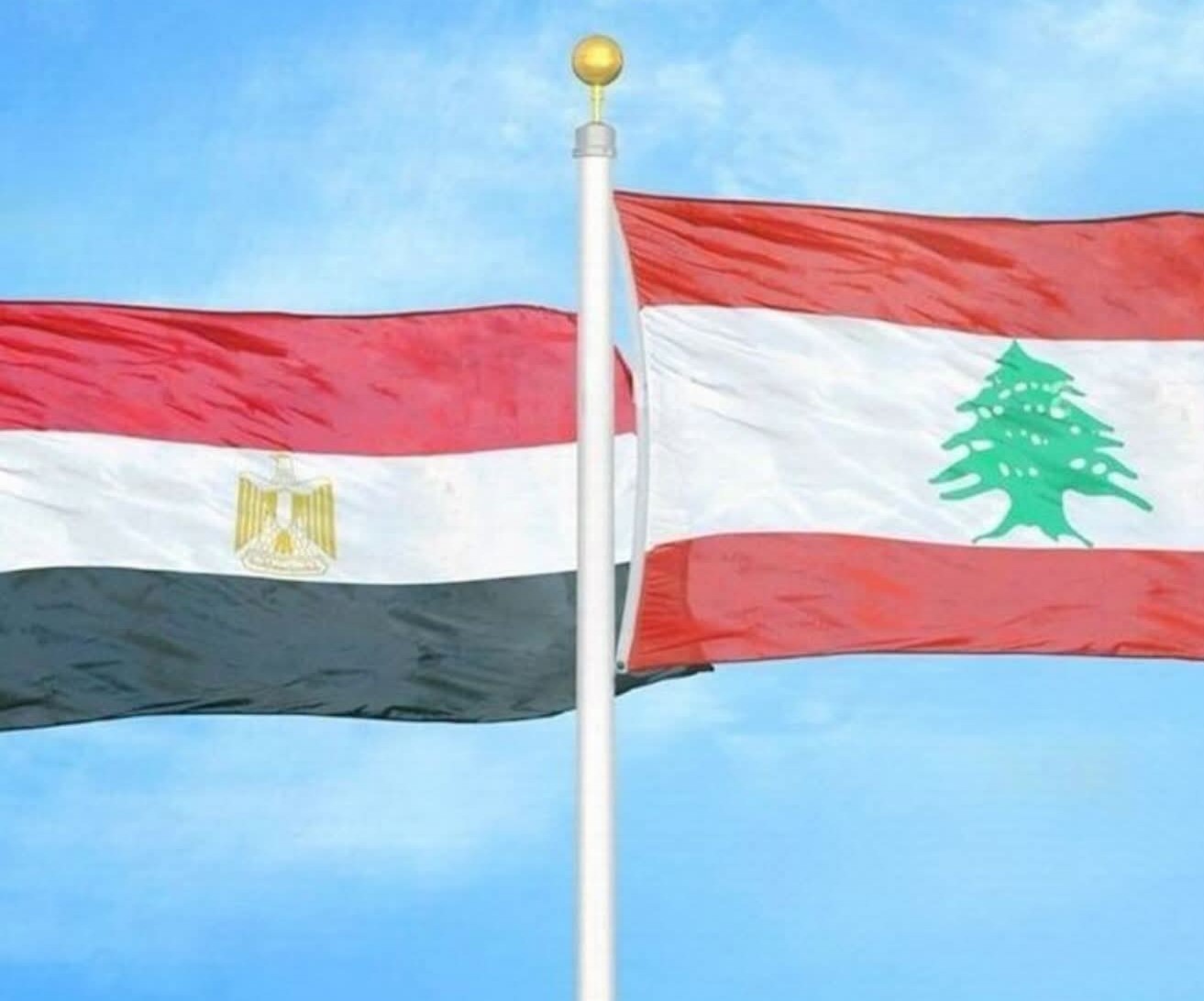 شحنة من المساعدات الطبية والإغاثية مقدّمة من جمهورية مصر العربية