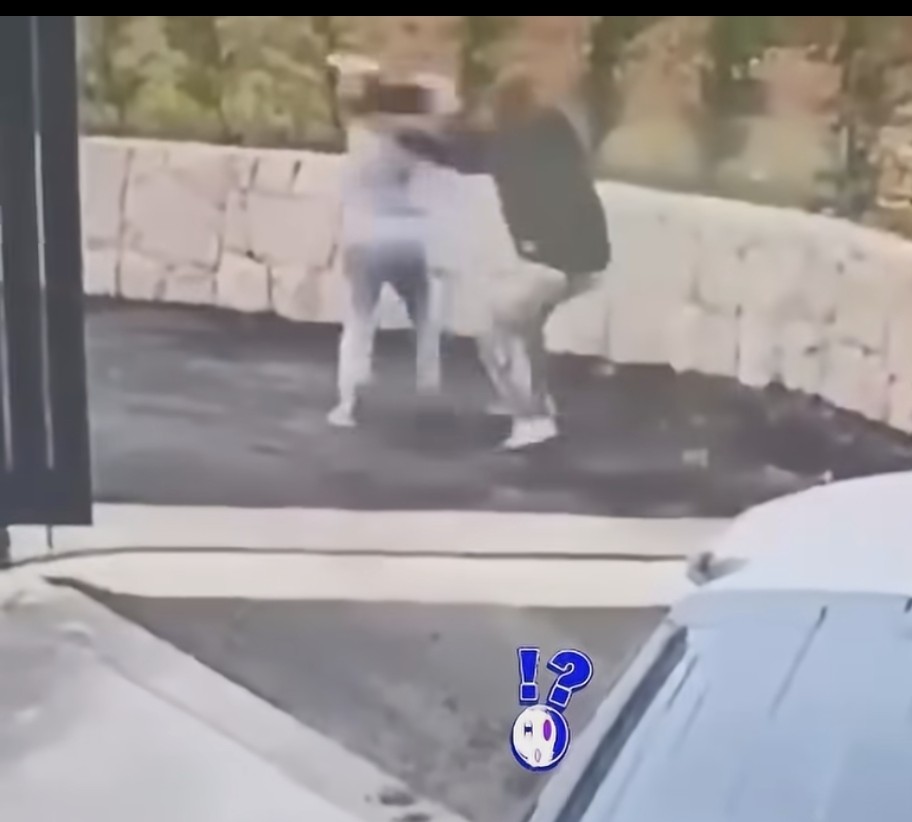 دكتور بنغو.. من وصفات "الكوكيز" إلى فنون "التأديب" تحت المراقبة