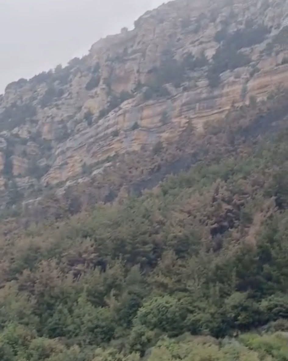 أوقفت شعبة المعلومات