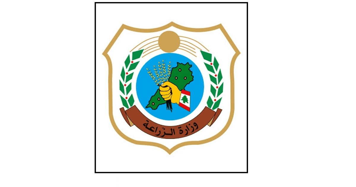 توضيح لوزارة الزراعة بشأن ظاهرة نفوق الأسماك الصغيرة على بعض الشواطئ