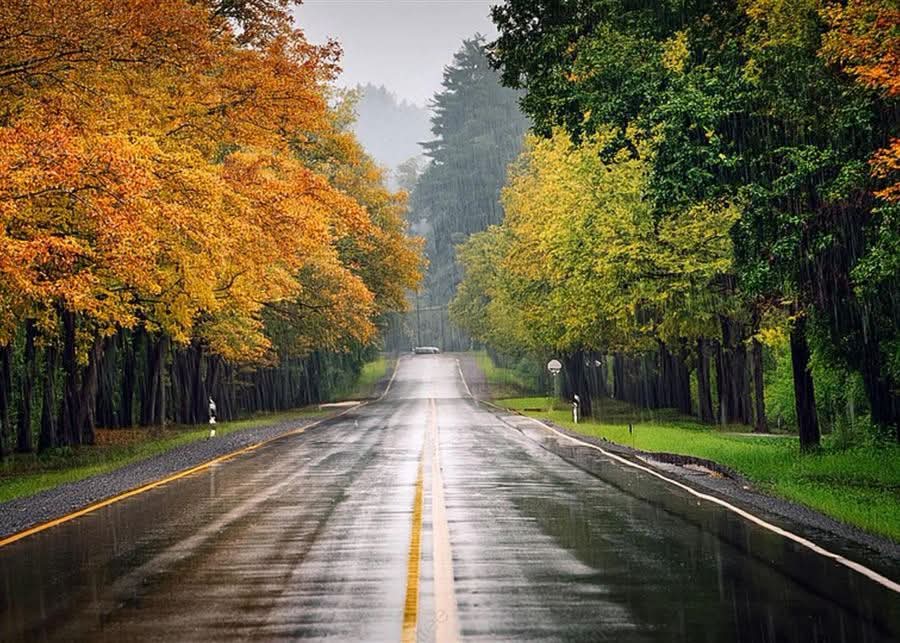 أمطار رعدية