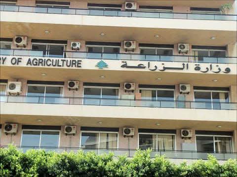 ظهور حالات مرضية لدى الأبقار في منطقة القرعون